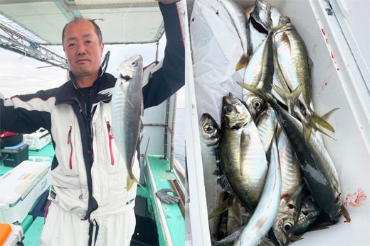 船アジ釣り｜ヒットサビキハヤブサ｜釣果情報｜ミナガワ釣具店