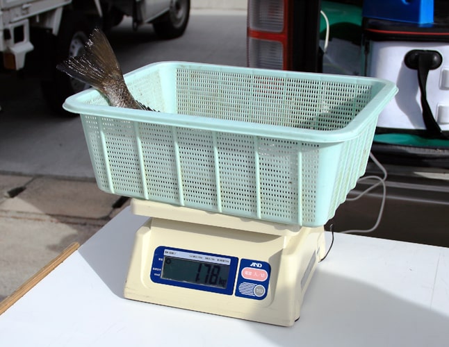 2025年遠賀川チヌ釣り大会｜ミナガワ釣具店