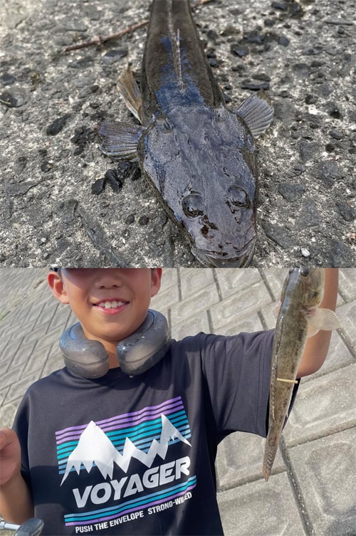 ハゼ釣り|ファミリーフィッシング|皆川釣具店|福岡 ハゼ釣り|ファミリーフィッシング|ミナガワ釣具店|福岡